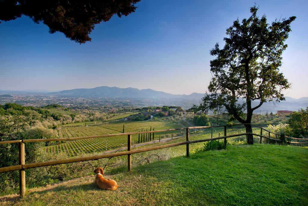 Villa Lean Valgiano Exterior photo